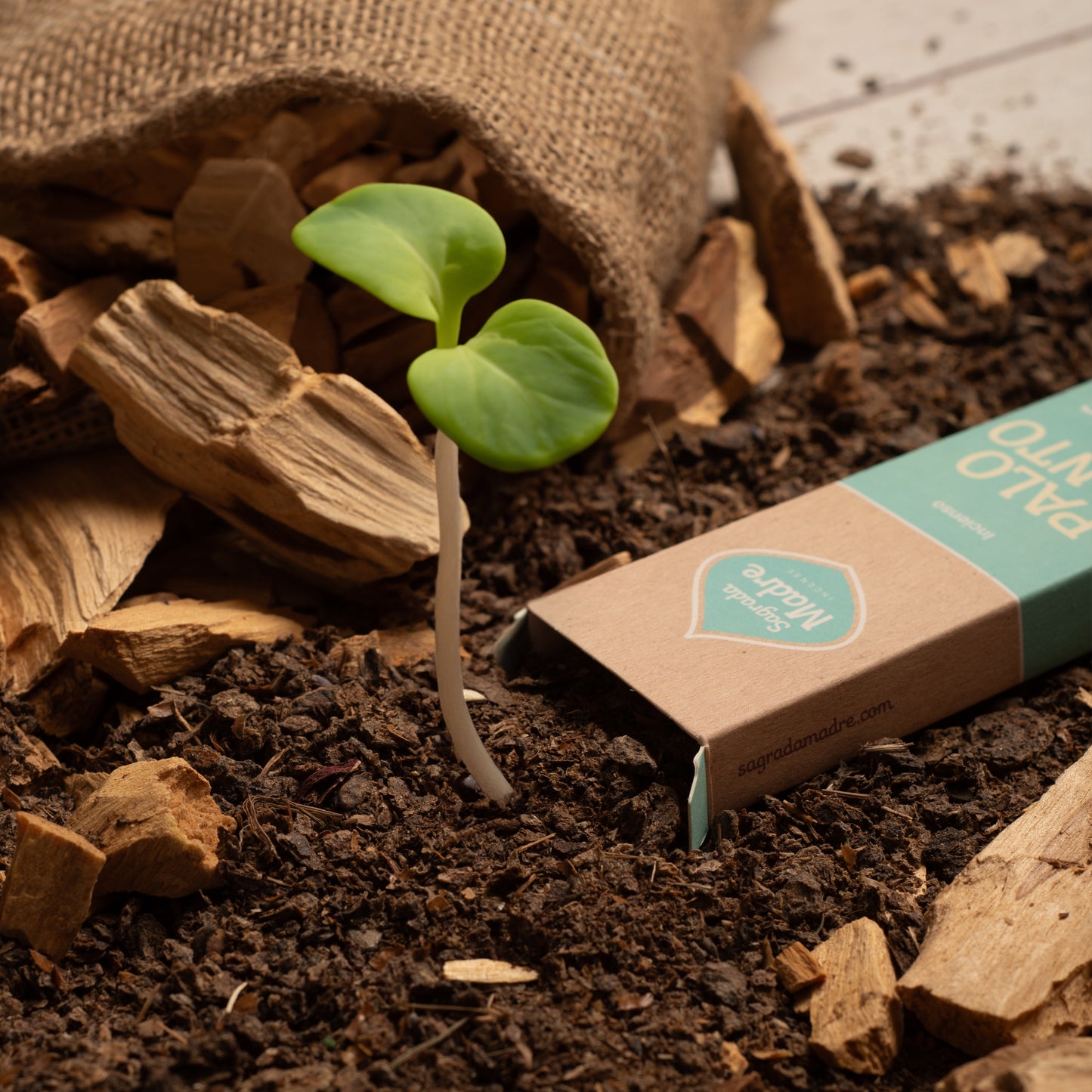 Sahumerio de Palo Santo con Fresias