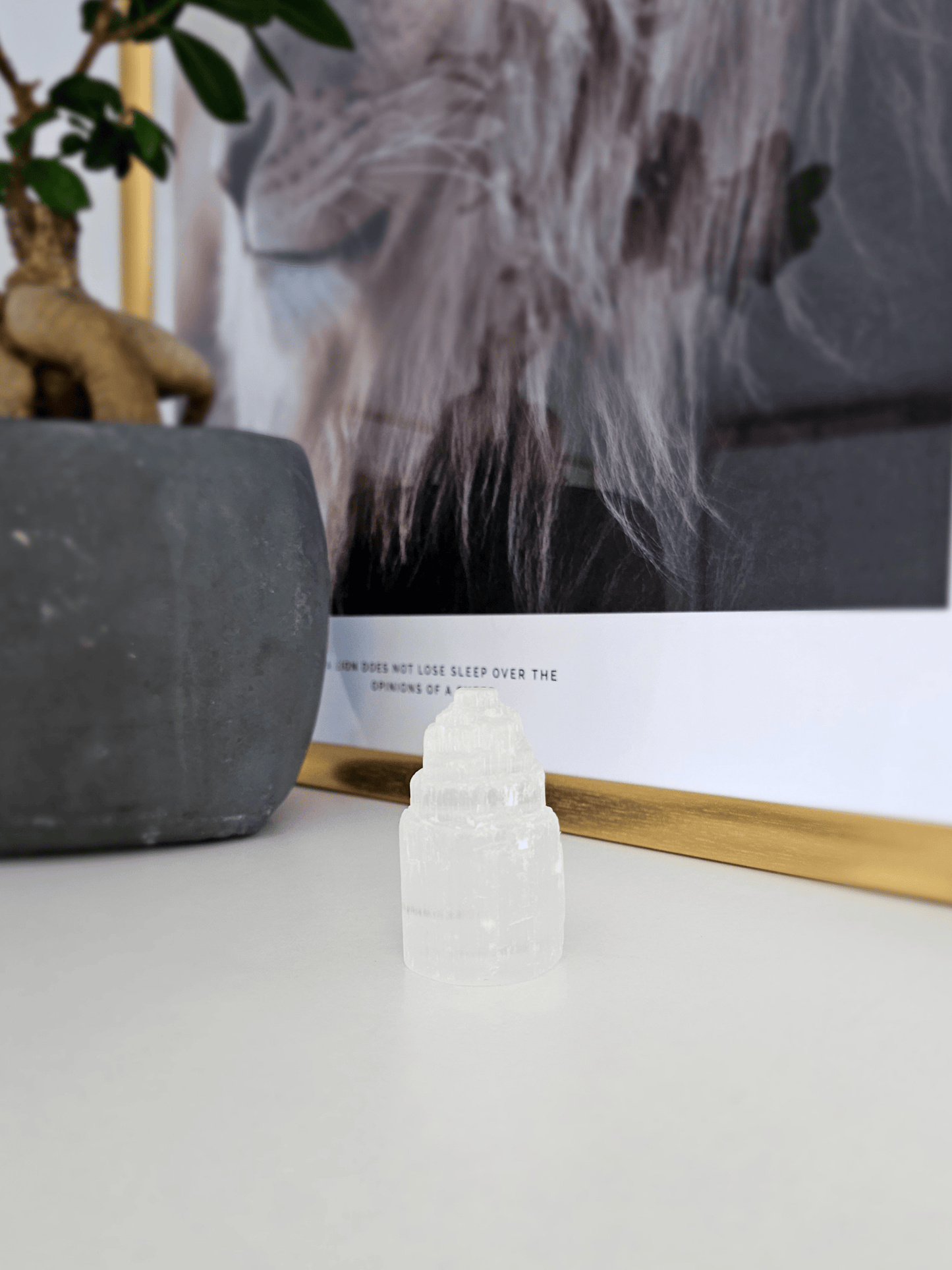 Pack Limpieza energética y protección