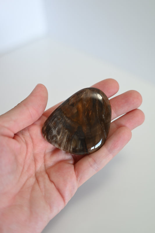 Rodado plano de Xilópalo pulido, tonos marrones y beige, 3 × 5 cm. Mineral fósil para protección y conexión con la tierra.