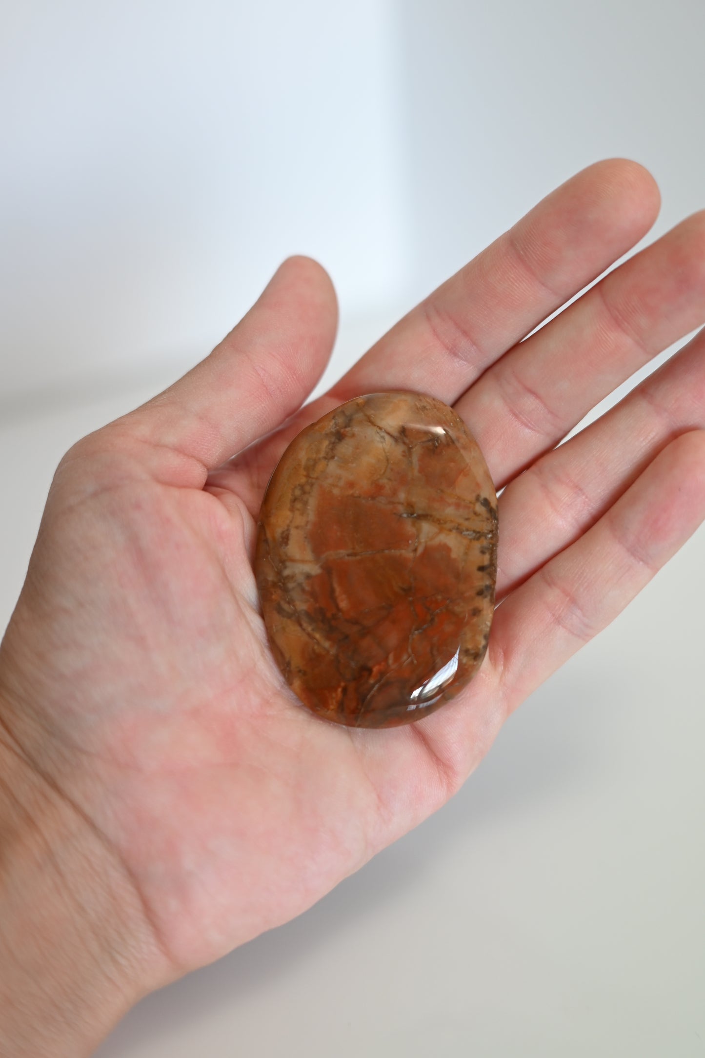 Rodado plano de Xilópalo pulido, tonos marrones y beige, 3 × 5 cm. Mineral fósil para protección y conexión con la tierra.