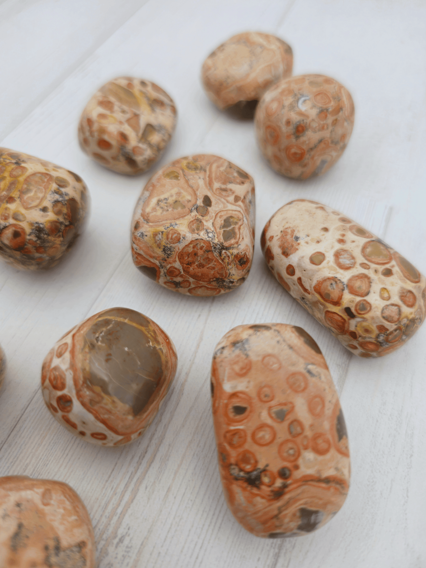 Rodado de Jaspe Leopardita 3–4 cm | arraigo y protección