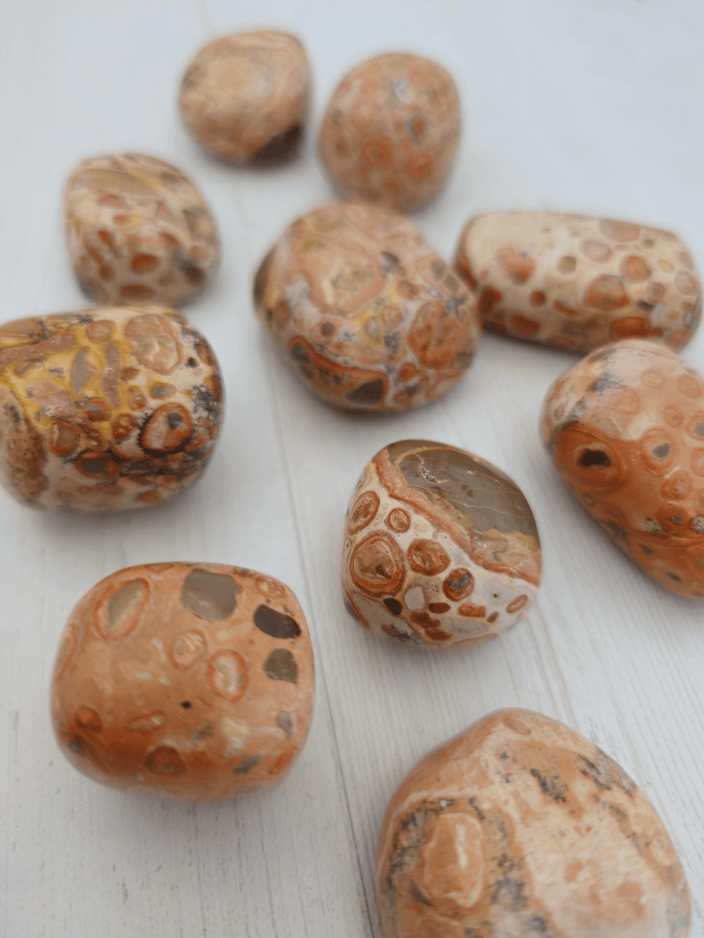 Rodado de Jaspe Leopardita 3–4 cm | arraigo y protección