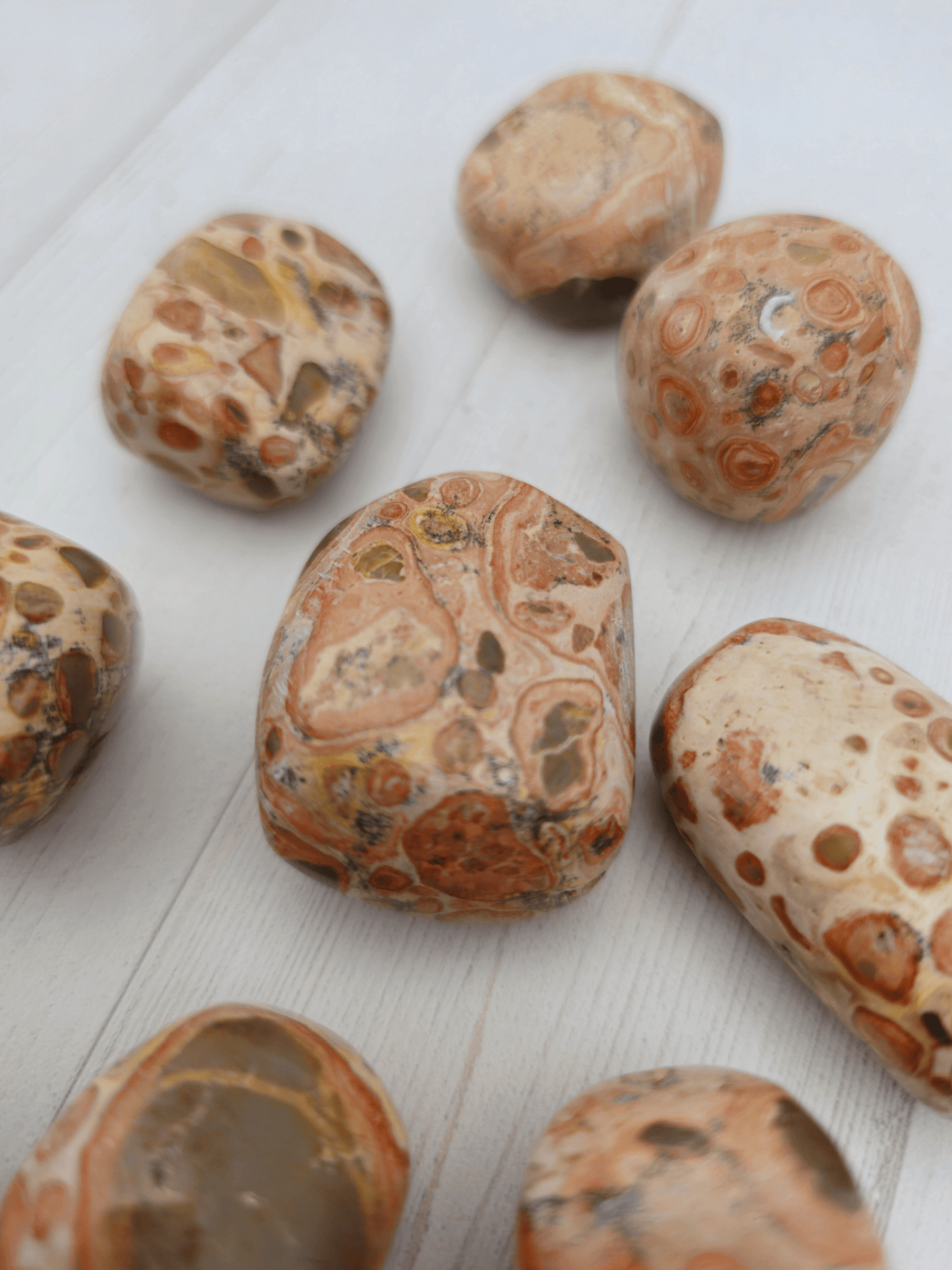 Rodado de Jaspe Leopardita 3–4 cm | arraigo y protección