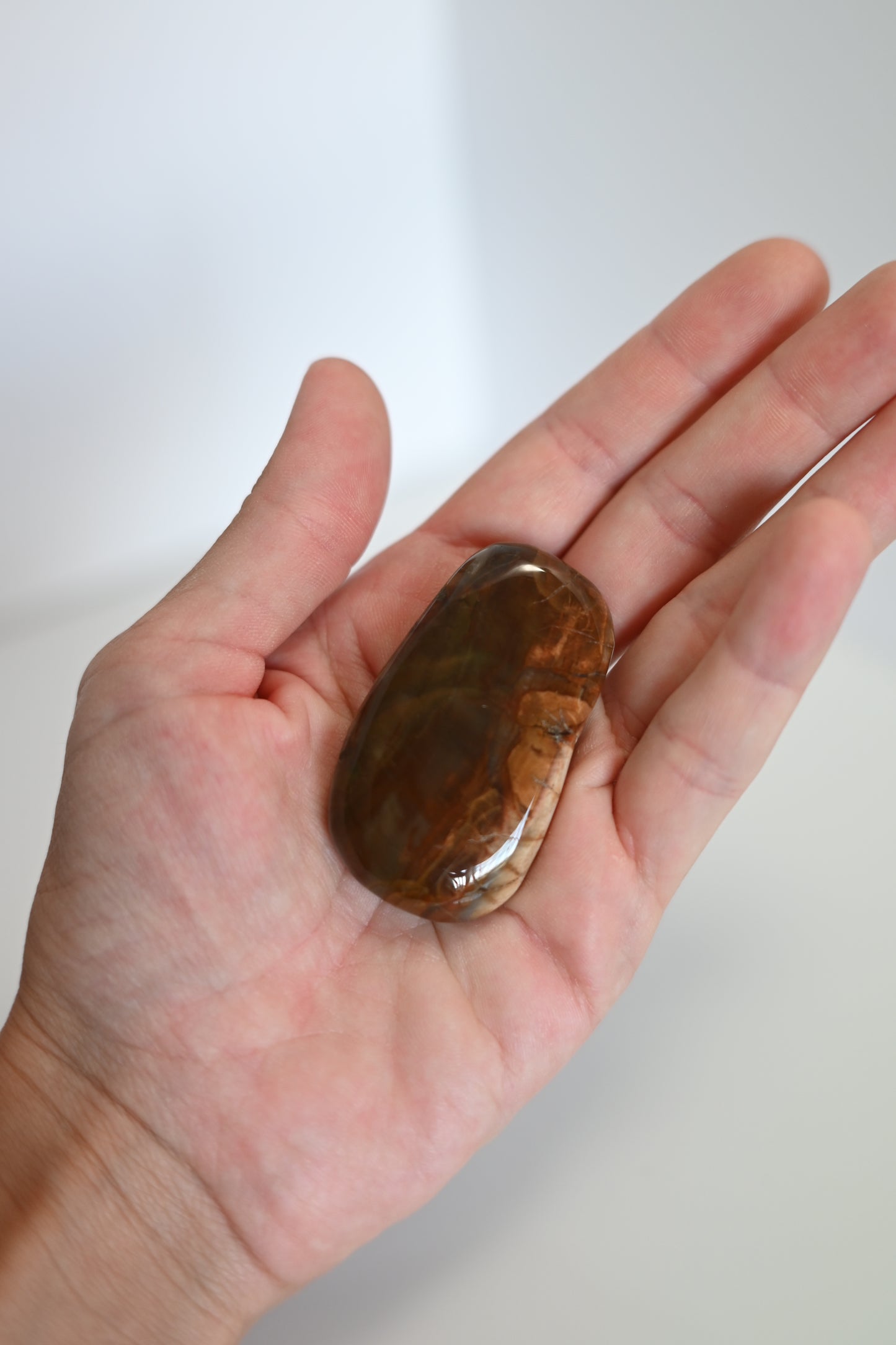 Rodado plano de Xilópalo pulido, tonos marrones y beige, 3 × 5 cm. Mineral fósil para protección y conexión con la tierra.