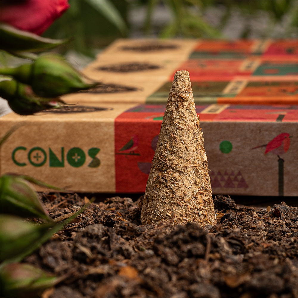 Conos de Pachuli-Palo Santo