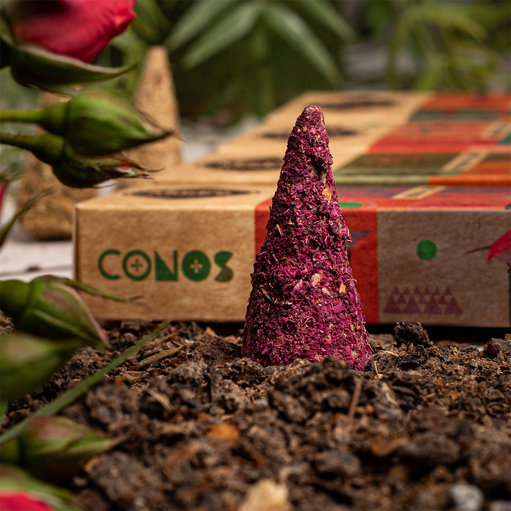 Conos de Pétalos de Rosa