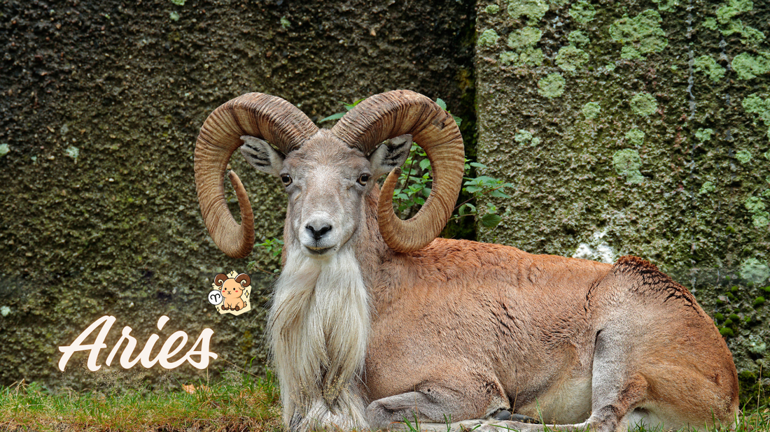 Aries: El Fuego Primordial y la Fuerza del Granate