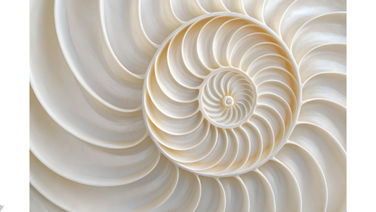 "Como el Nautilus, que sella sus cámaras antiguas para poder seguir creciendo, nosotros también debemos cerrar puertas para expandirnos en este Año 1."