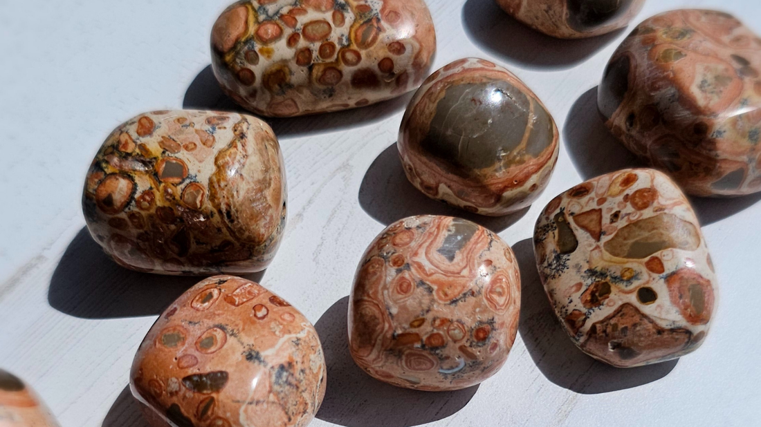 Jaspe Leopardita: Propiedades, Usos y Energía del Cristal de Fortaleza Instintiva, Equilibrio Emocional y Protección Sutil [Guía 2025]