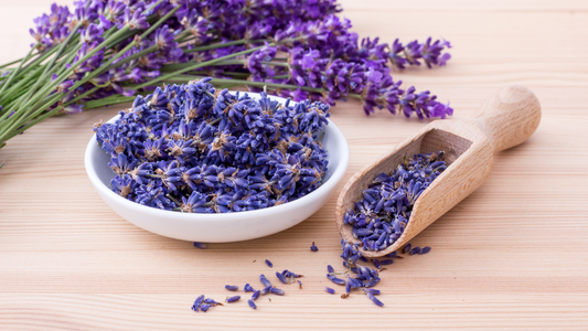 Lavanda: Propiedades, Usos Energéticos y Cómo Integrarla en Rituales de Limpieza [Guía 2025]
