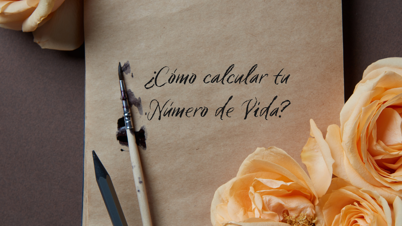 Guía de Numerología: Calcula tu Número de Vida y descubre tu Esencia