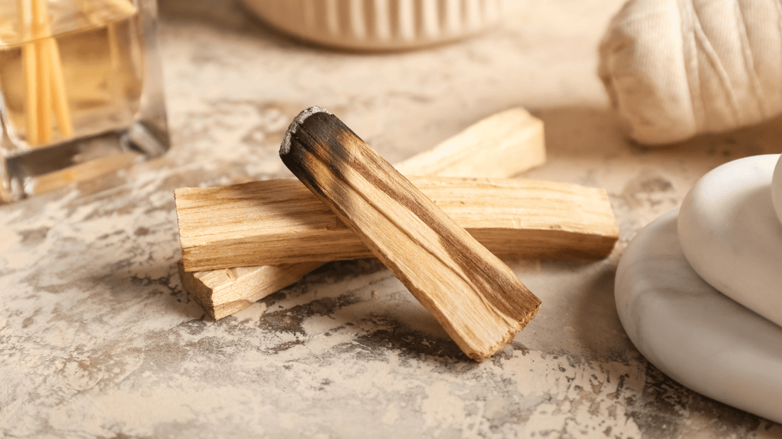 Palo Santo: Propiedades, Usos y Energía del Madero Sagrado para la Limpieza, Protección y Armonía Espiritual [Guía 2025]
