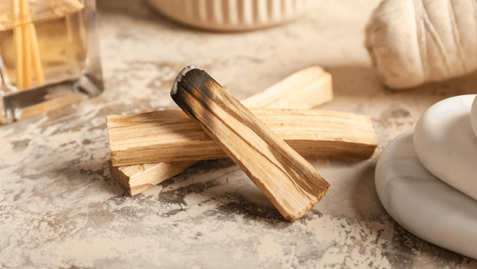 Palo Santo: Propiedades, Usos y Energía del Madero Sagrado para la Limpieza, Protección y Armonía Espiritual [Guía 2025]