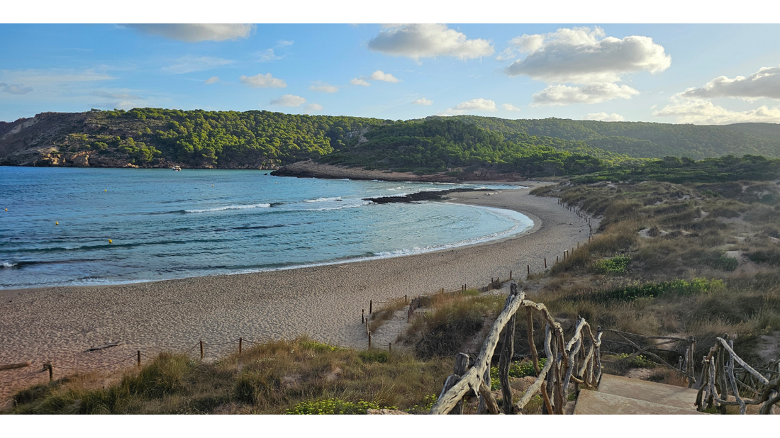 Bienvenid@ al "Resort Tierra": Recordando el pacto de tu alma