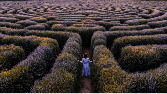 Tu Mente es un Laberinto: El secreto de Ariadna para escapar de la ansiedad