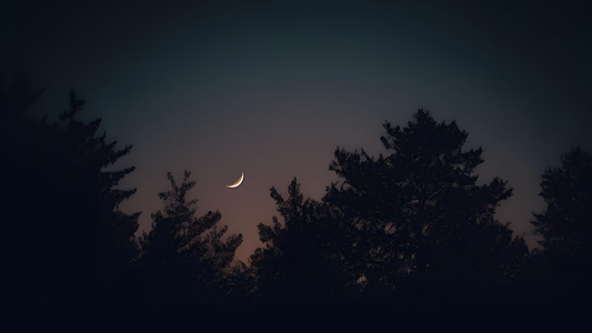Ritual de Luna Creciente: cómo activar y potenciar tus intenciones paso a paso