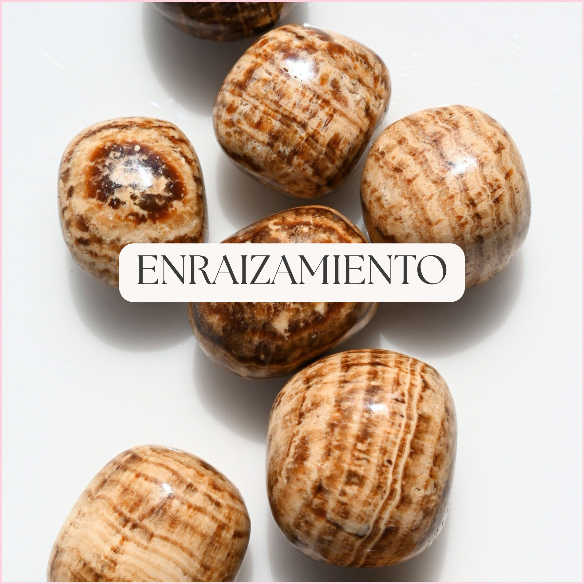 Enraizamiento