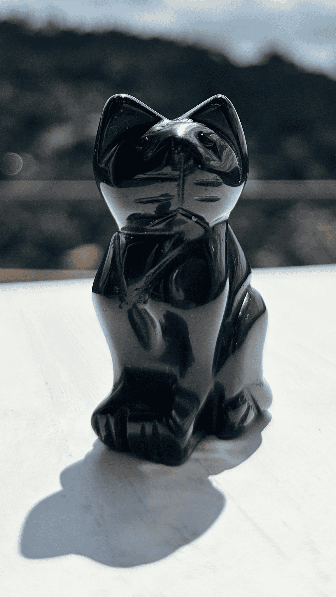 Gatos de Minerales