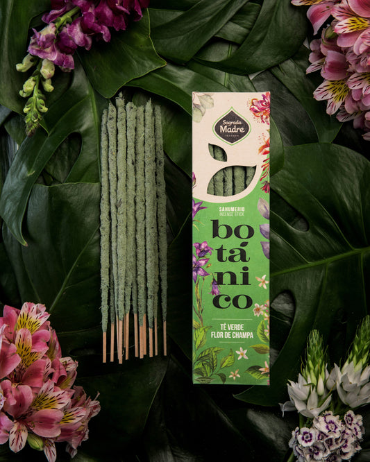 Sahumerio Botánico Té verde y Champa, incienso artesanal de 6 varillas, hojas y aceite de té verde y champa.