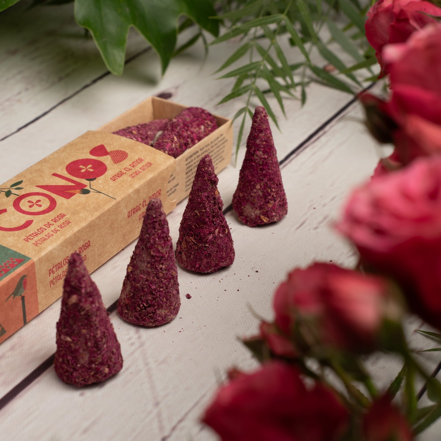 Conos de Pétalos de Rosa