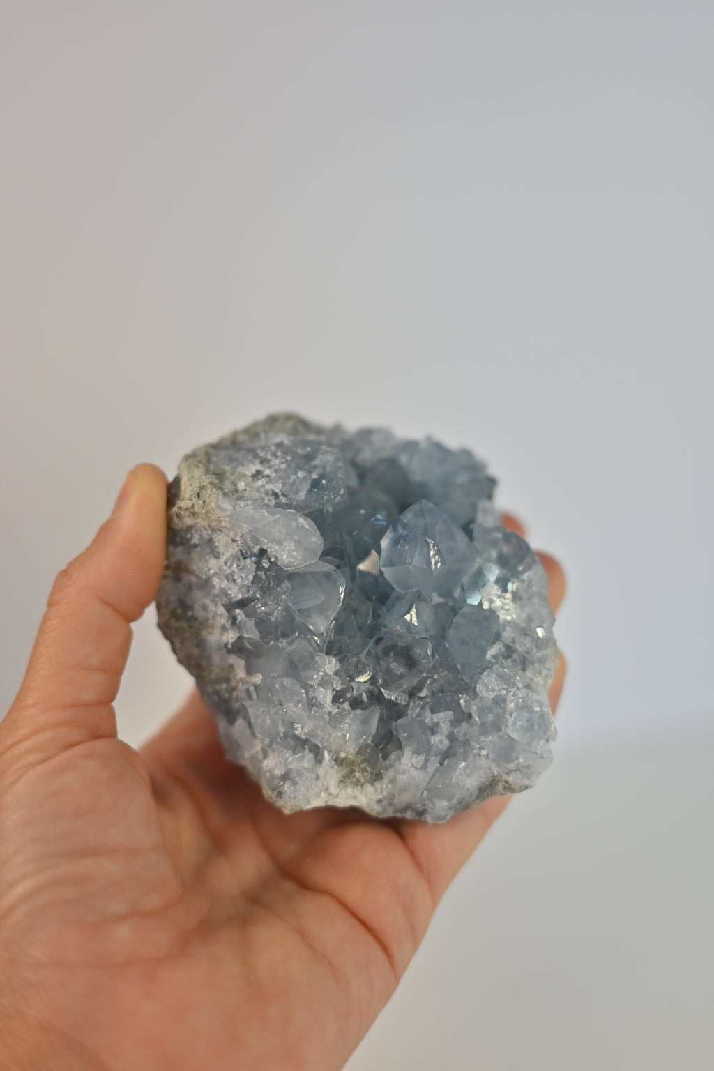 Drusa Celestina Madagascar | Paz y Sueño Profundo