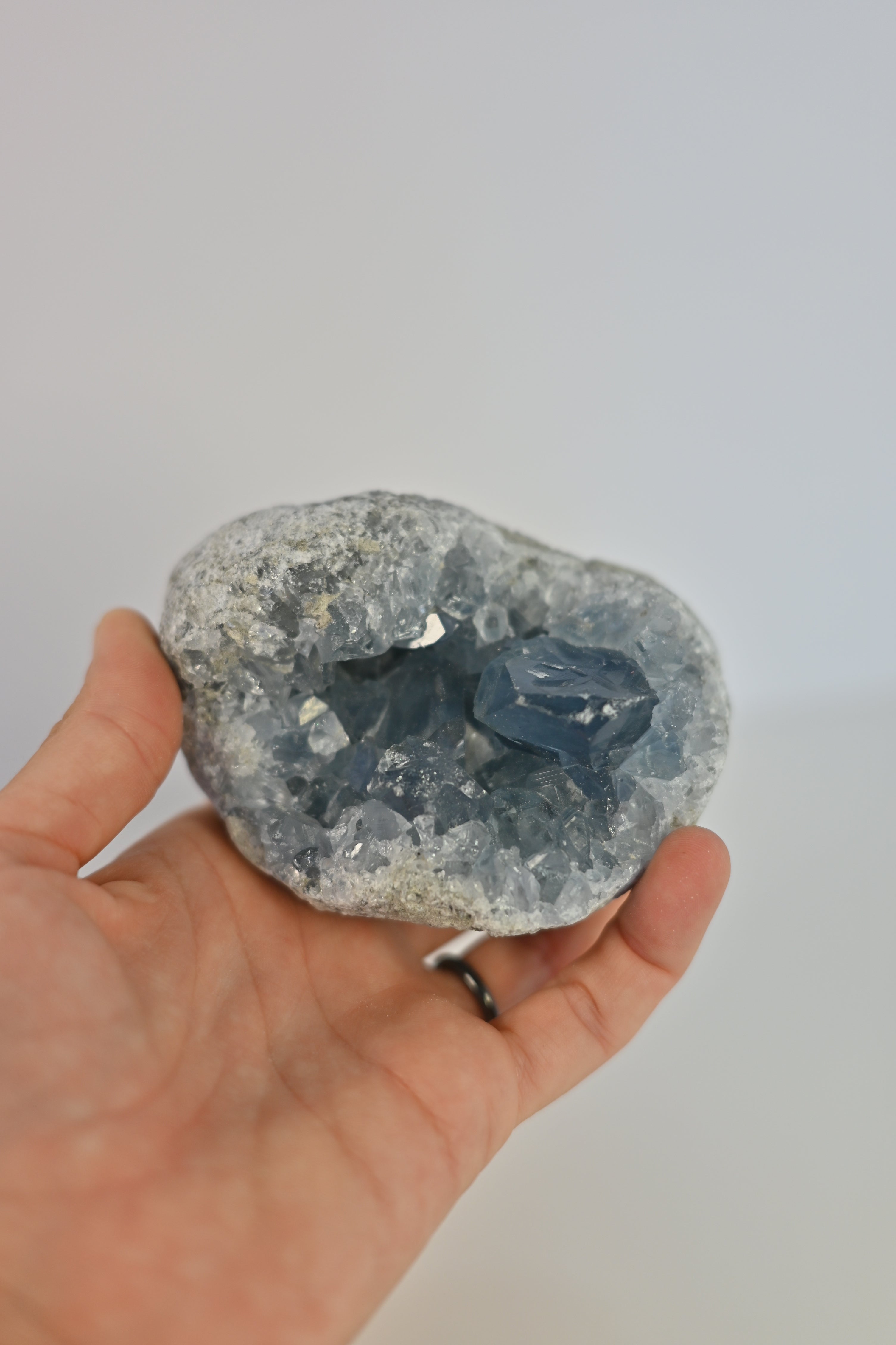 Drusa Celestina Madagascar | Paz y Sueño Profundo