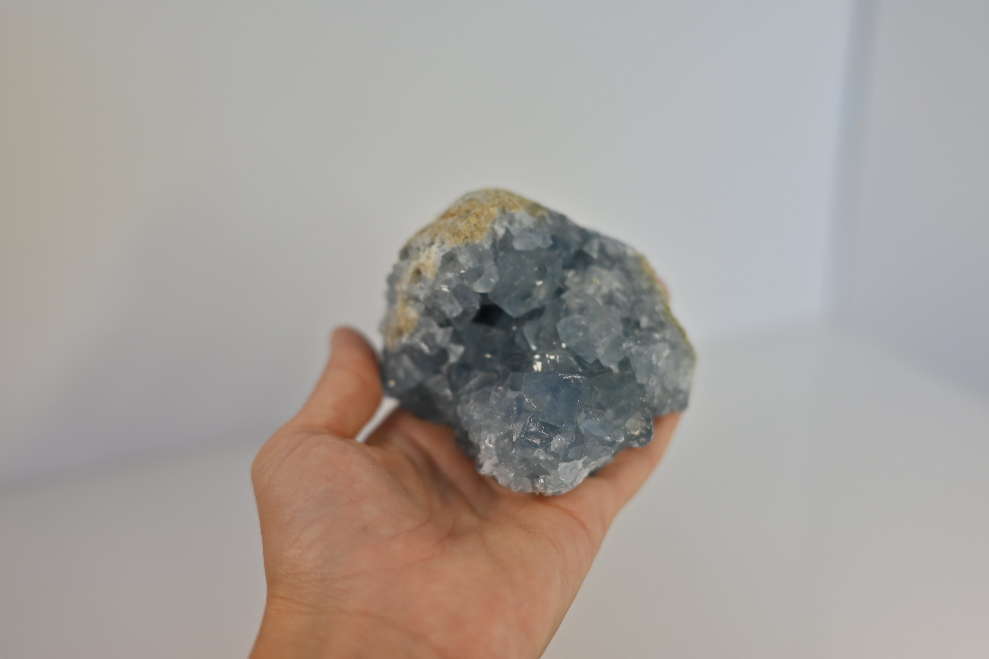 Drusa Celestina Madagascar | Paz y Sueño Profundo