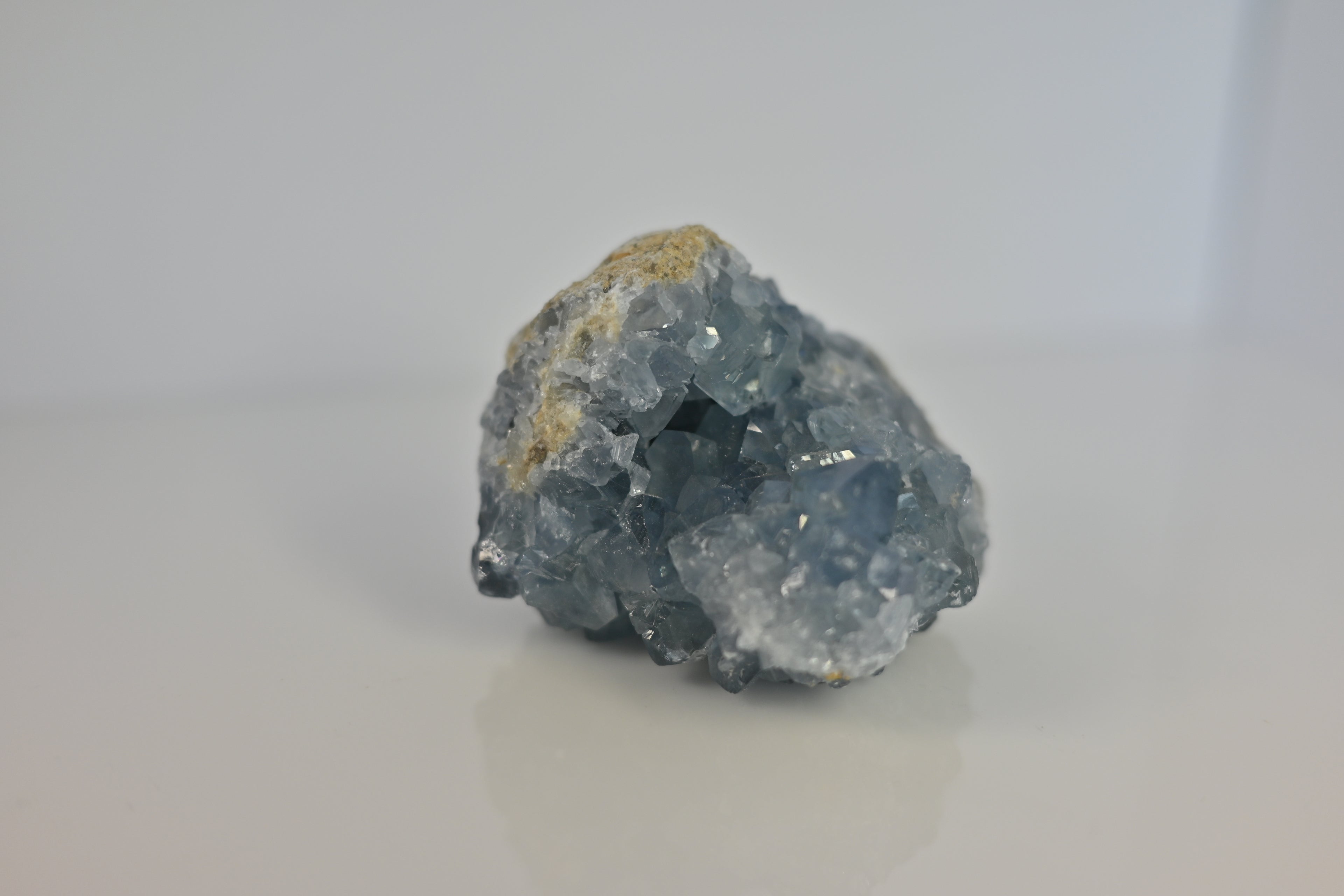 Drusa Celestina Madagascar | Paz y Sueño Profundo