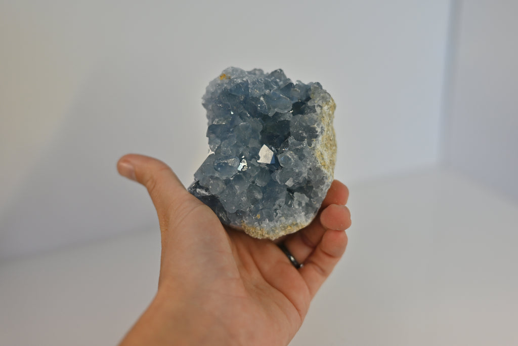 Drusa Celestina Madagascar | Paz y Sueño Profundo