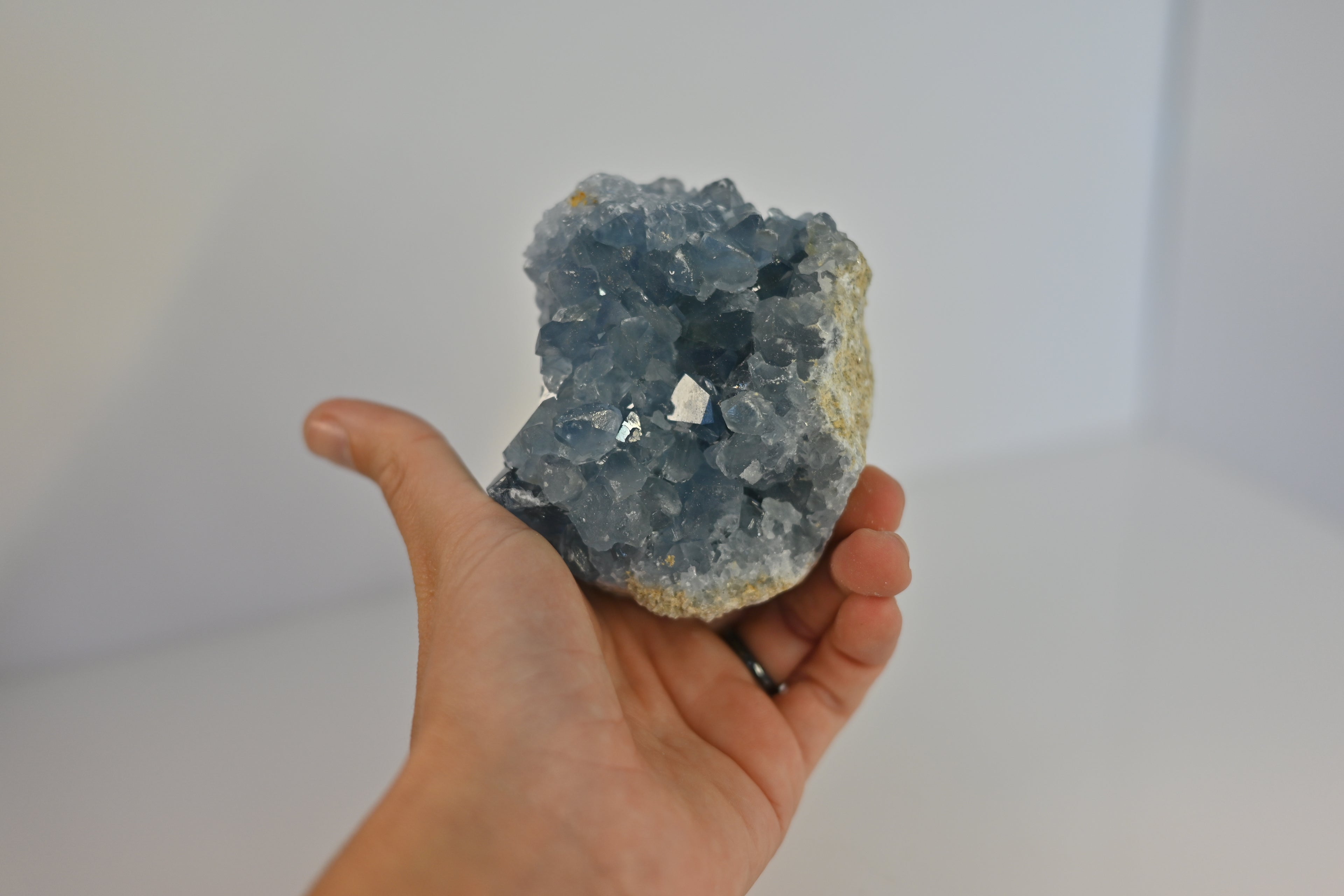 Drusa Celestina Madagascar | Paz y Sueño Profundo