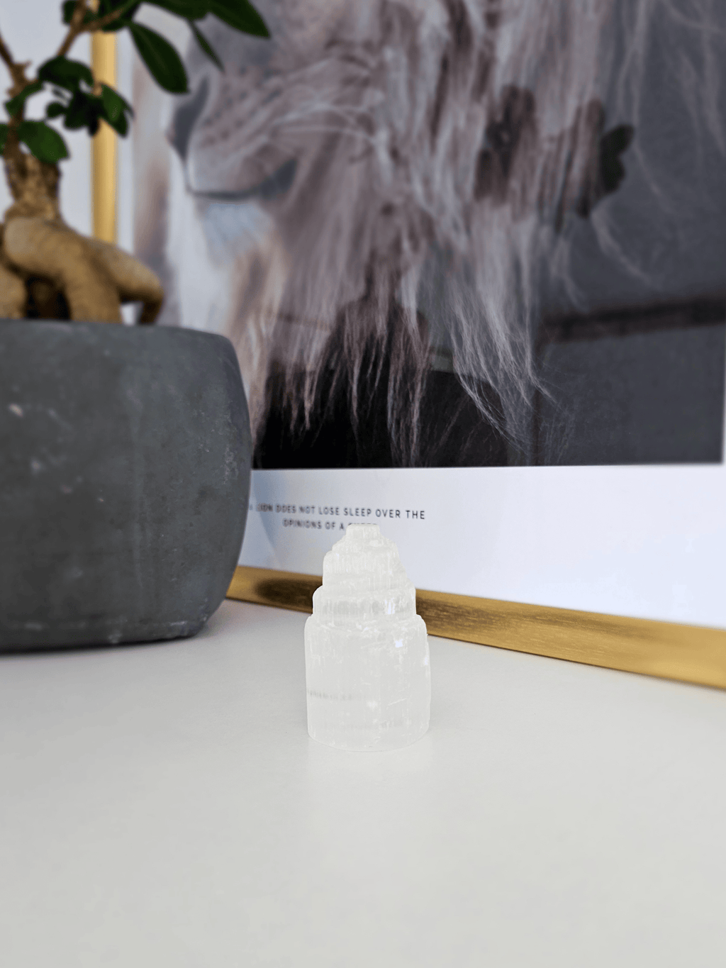Kit Protección Energética para el Hogar | Turmalina, Selenita y Palo Santo