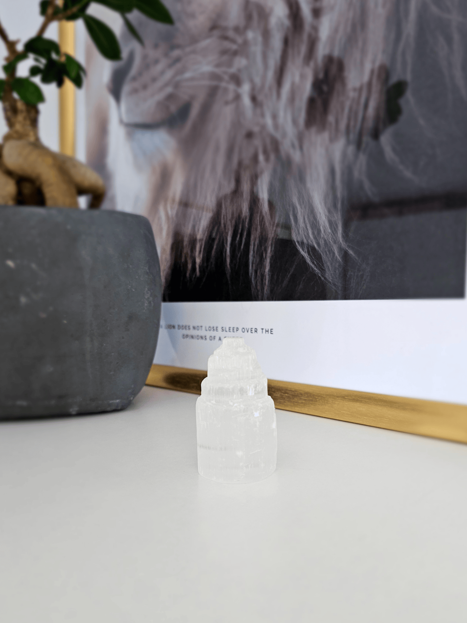 Kit Protección Energética para el Hogar | Turmalina, Selenita y Palo Santo