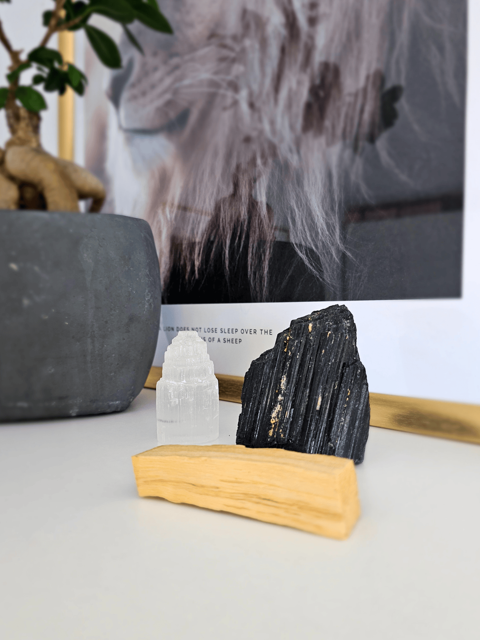 Kit Protección Energética para el Hogar | Turmalina, Selenita y Palo Santo