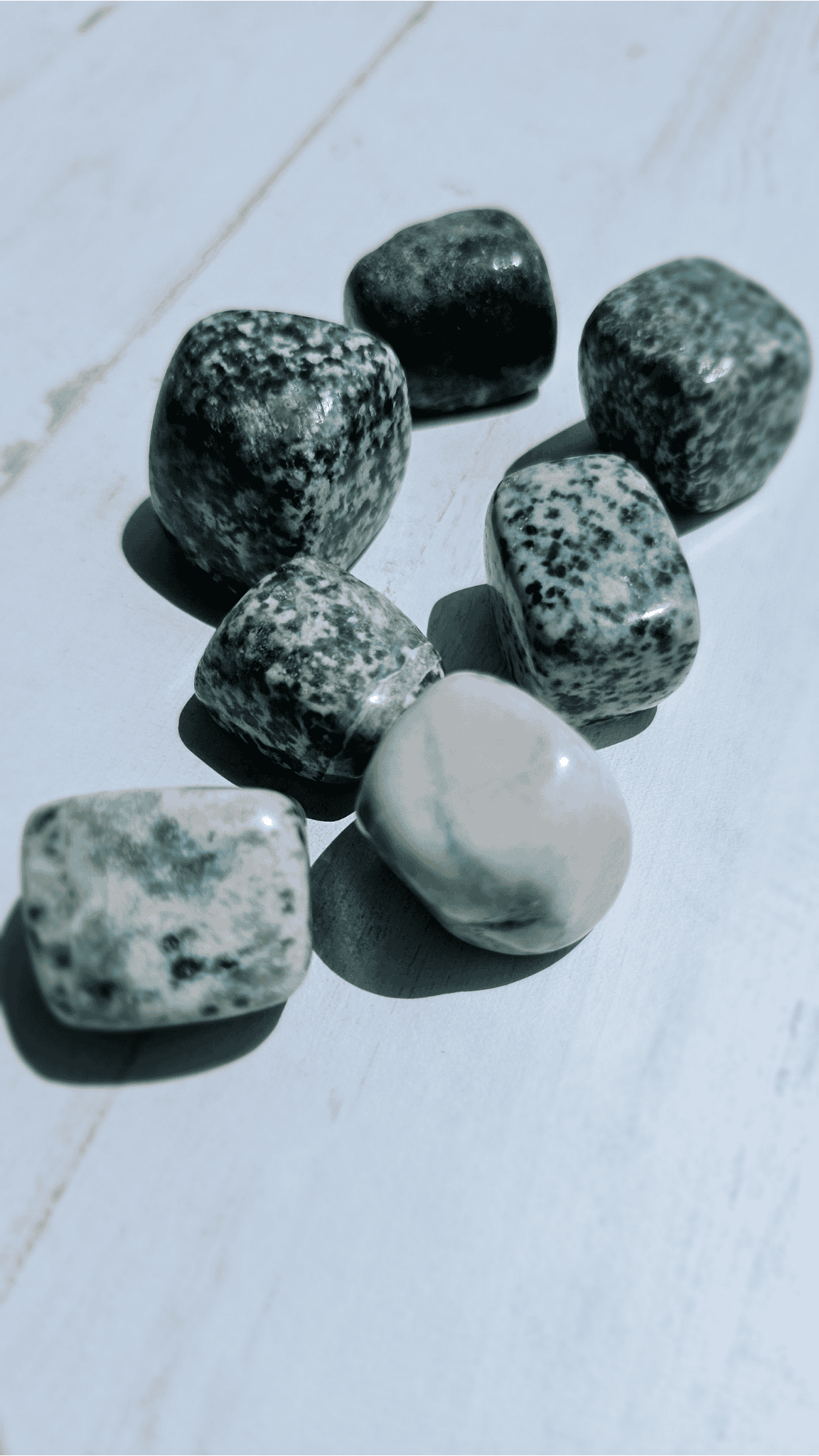 Rodado de Ágata Árbol | Equilibrio y conexión con la naturaleza