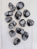 Rodado de obsidiana nevada 2–4 cm pulido con copos grises