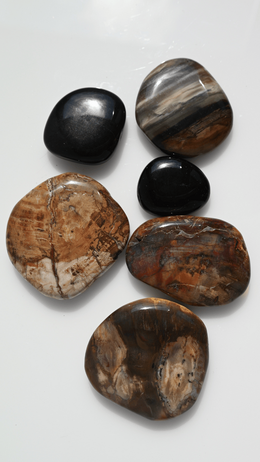 Rodado plano de Xilópalo pulido, tonos marrones y beige, 3 × 5 cm. Mineral fósil para protección y conexión con la tierra.
